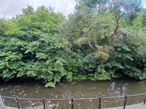 Photo 15- click for photo gallery